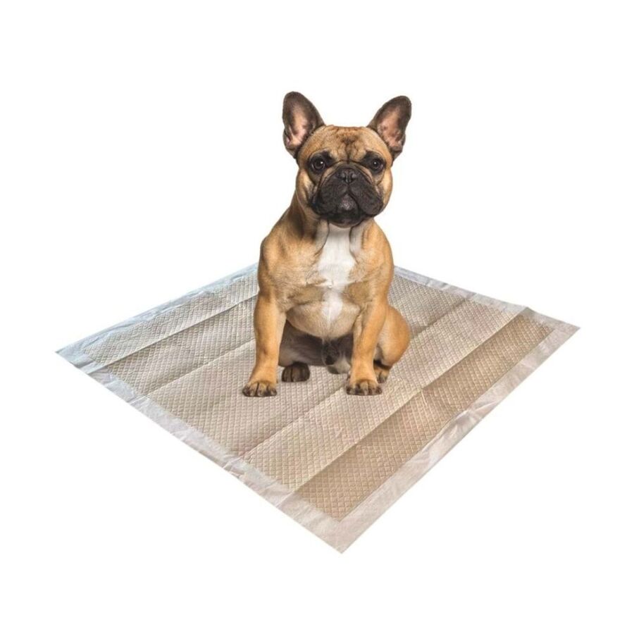 M-Pets Eco Köpek Çiş Eğitim Pedi 60x60cm 50li