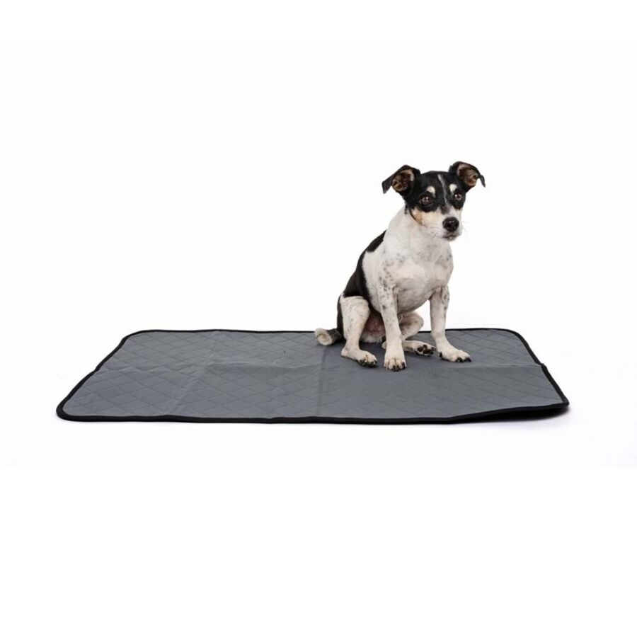 M-Pets Yıkanabilir Çiş Eğitim Pedi (M)