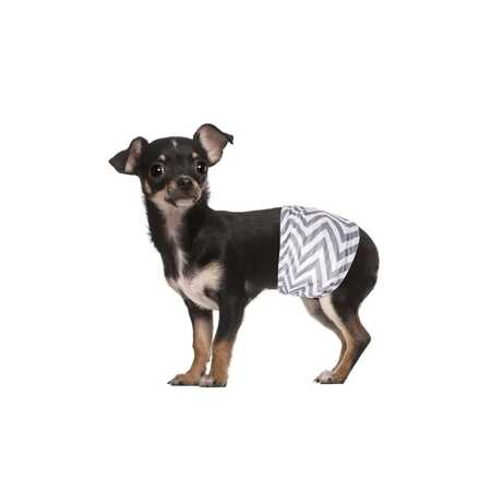 M-Pets Erkek Köpekler İçin Yıkanabilir Külot 2li (XS) - Thumbnail (1)