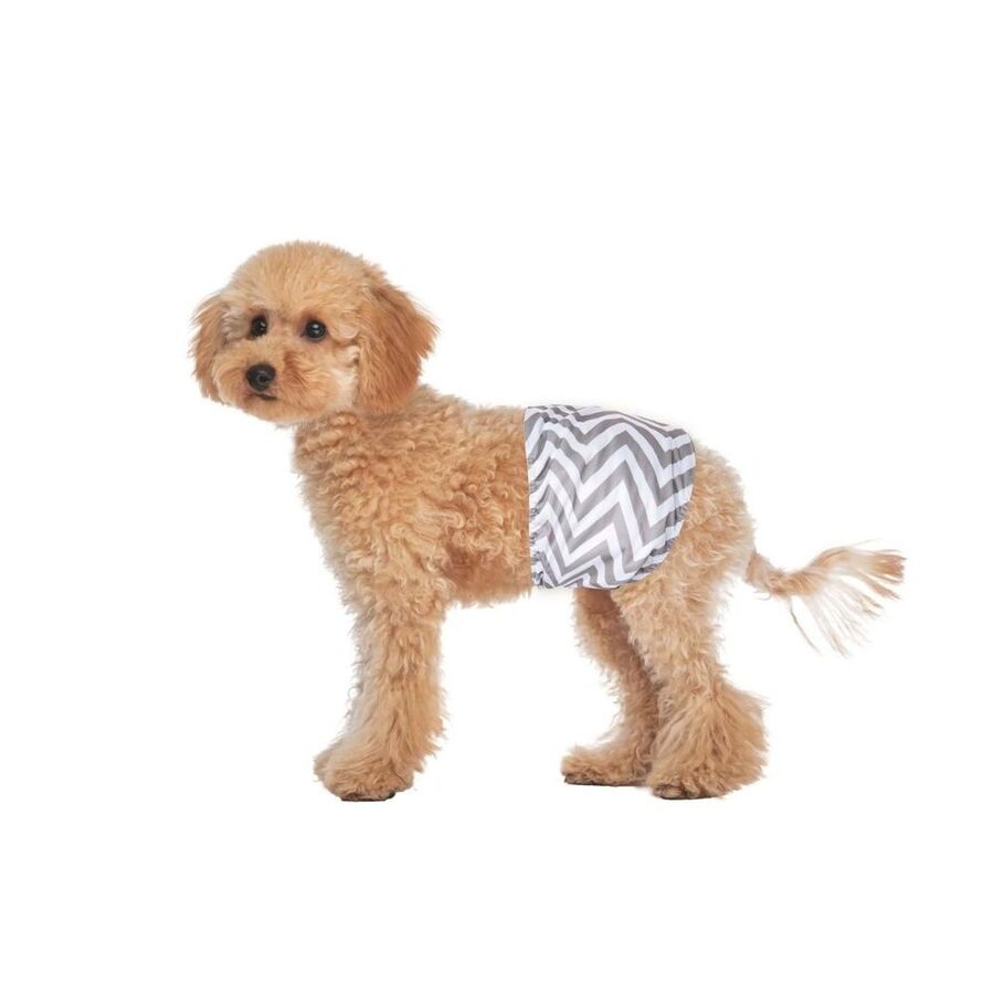 M-Pets Erkek Köpekler İçin Yıkanabilir Külot 2li (S)
