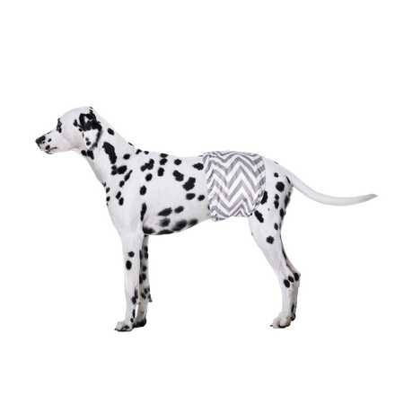 M-Pets Erkek Köpekler İçin Yıkanabilir Külot 2li (L) - Thumbnail (1)