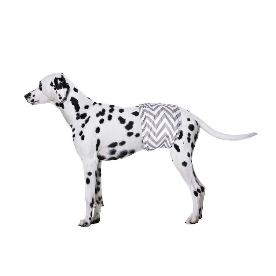 M-Pets Erkek Köpekler İçin Yıkanabilir Külot 2li (L)