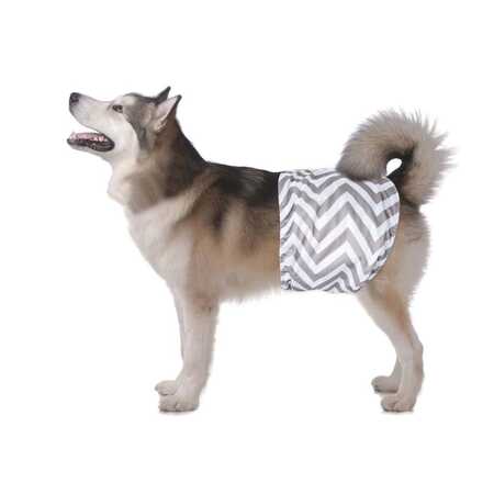 M-PETS - M-Pets Erkek Köpekler İçin Yıkanabilir Külot 2li (XL)
