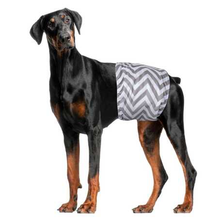 M-Pets Erkek Köpekler İçin Yıkanabilir Külot 2li (XXL) - Thumbnail (1)