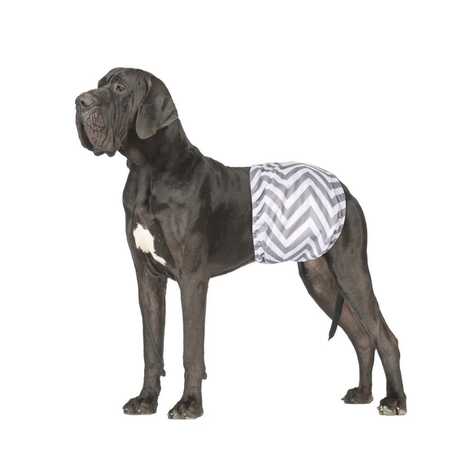 M-Pets Erkek Köpekler İçin Yıkanabilir Külot 2li (XXXL) - Thumbnail (1)