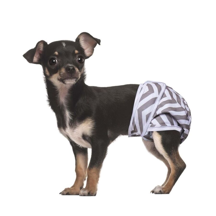 M-Pets Dişi Köpekler İçin Yıkanabilir Külot 2li (XS)