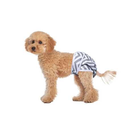 M-Pets Dişi Köpekler İçin Yıkanabilir Külot 2li (S) - Thumbnail (1)