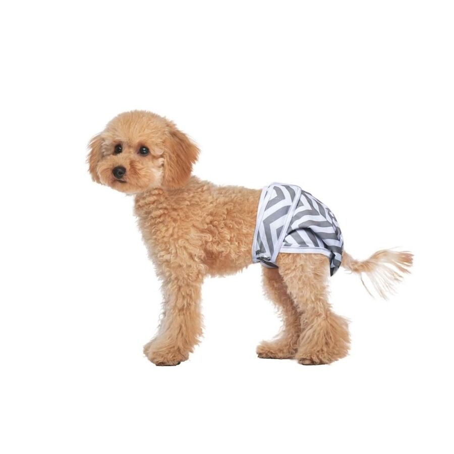 M-Pets Dişi Köpekler İçin Yıkanabilir Külot 2li (S)