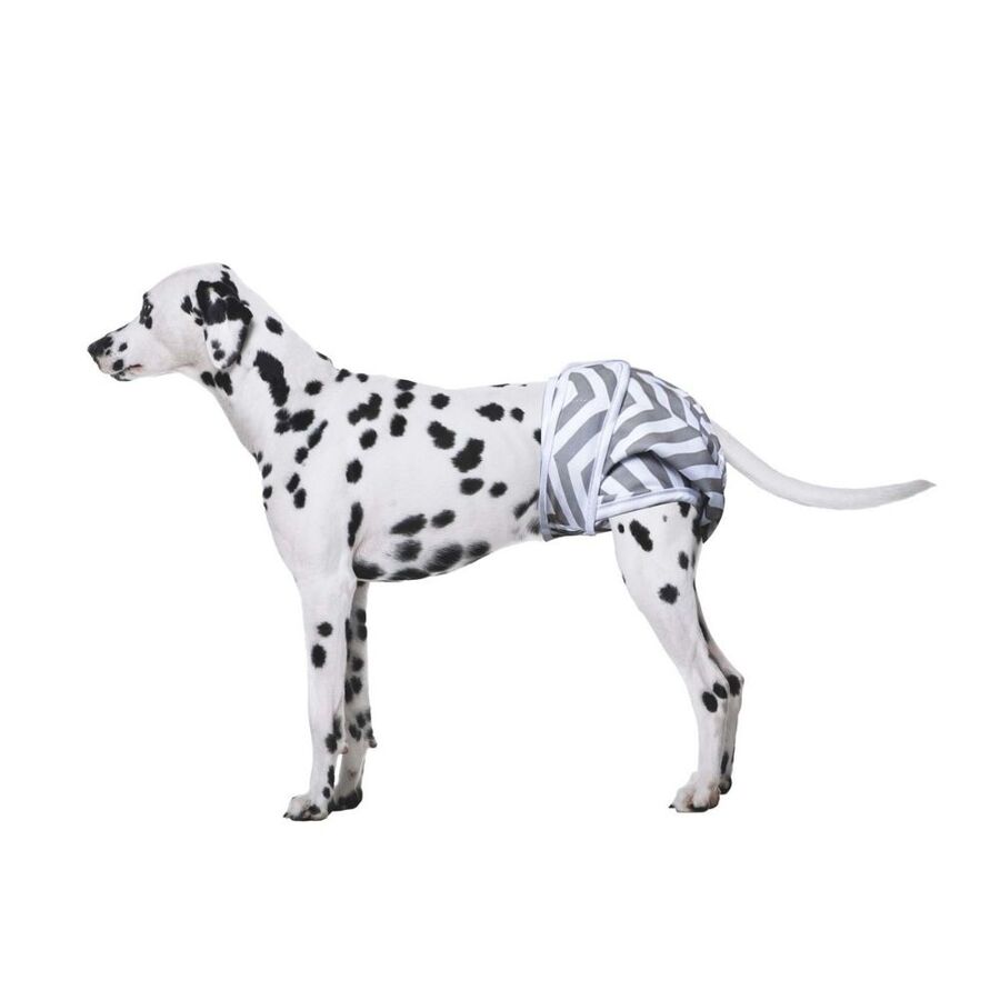M-Pets Dişi Köpekler İçin Yıkanabilir Külot 2li (L)