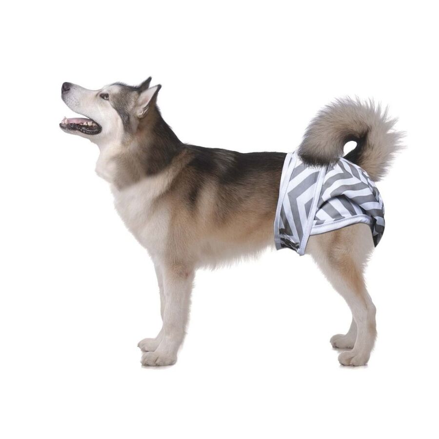 M-Pets Dişi Köpekler İçin Yıkanabilir Külot 2li (XL)