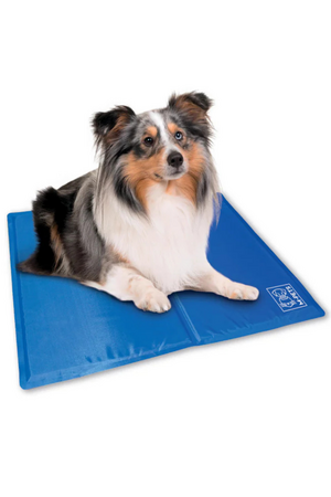 M-Pets Frozen Köpek Serinletici Minder (M) 65x50cm - Thumbnail