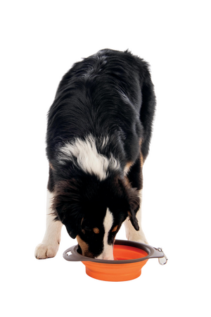 M-Pets On The Road Katlanabilen Mama Kabı(M) 750ml - Thumbnail (2)