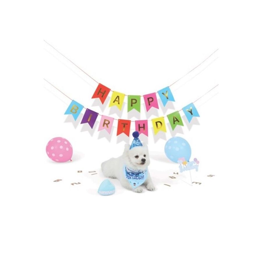 M-Pets Party Time Erkek Köpekler İçin Doğum Günü Seti