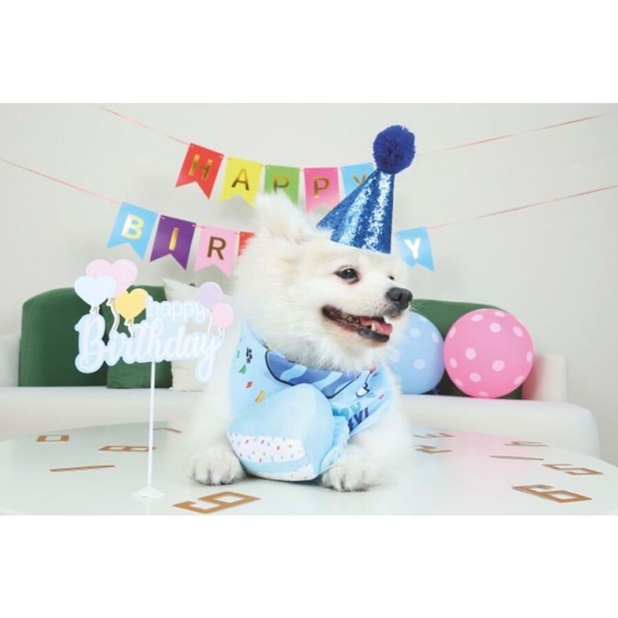 M-Pets Party Time Erkek Köpekler İçin Doğum Günü Seti