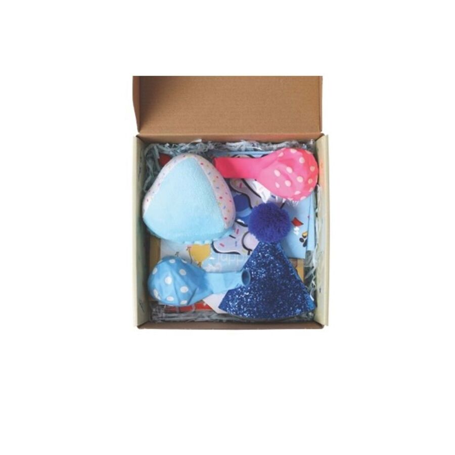 M-Pets Party Time Erkek Köpekler İçin Doğum Günü Seti