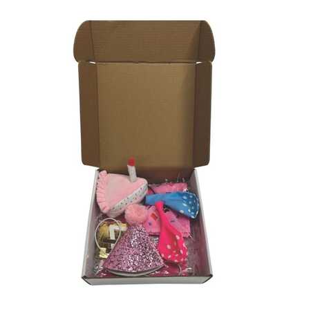 M-Pets Party Time Dişi Köpekler İçin Doğum Günü Seti - Thumbnail (1)