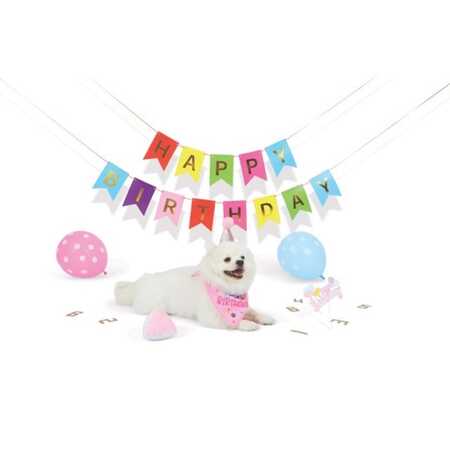 M-Pets Party Time Dişi Köpekler İçin Doğum Günü Seti - Thumbnail (2)