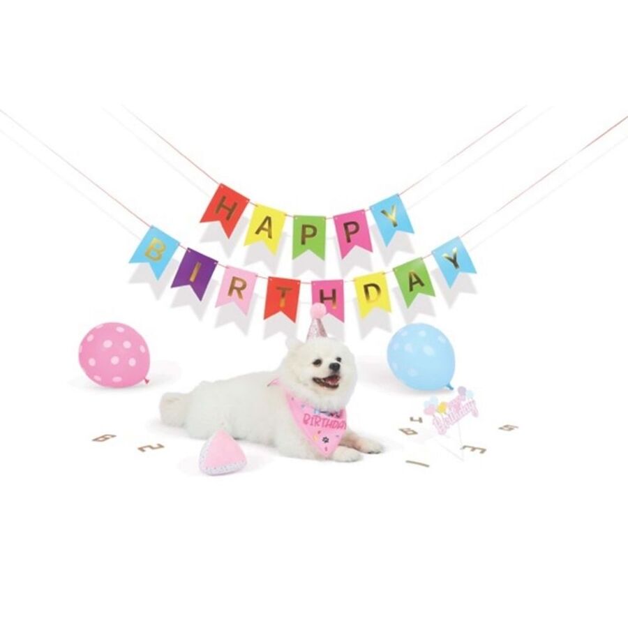 M-Pets Party Time Dişi Köpekler İçin Doğum Günü Seti