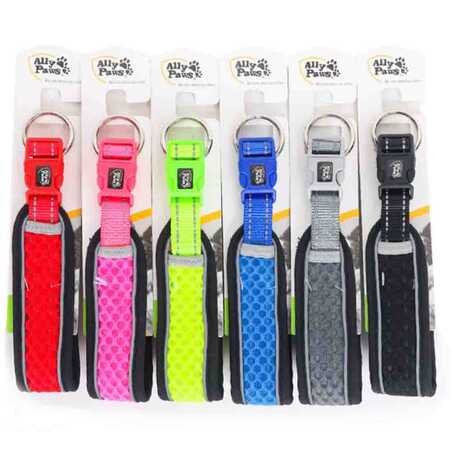 Ally Paws Dog Collar Köpek Boyun Tasması Medium 2cmx35-50cm - Thumbnail (1)