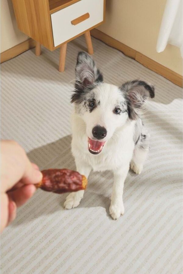 M-Pets BBQ Kings Leg Roasts Tavuklu Köpek Ödül Maması 70gr