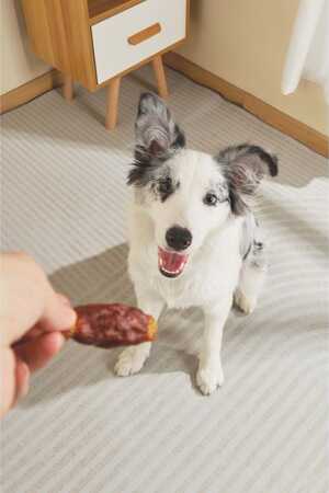 M-Pets BBQ Kings Leg Roasts Tavuklu Köpek Ödül Maması 70gr - Thumbnail