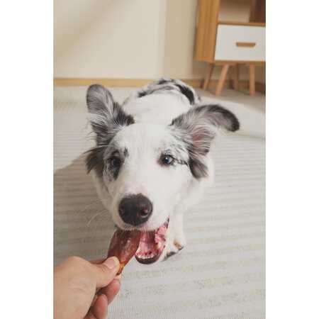 M-pets BBQ Kings Rib Bites Tavuklu Köpek Ödül Maması 115gr - Thumbnail