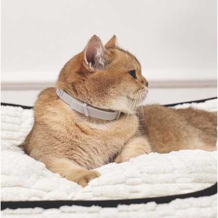 M-Pets Keep Calm Sakinleştirici Kedi Tasması Gri - Thumbnail (2)