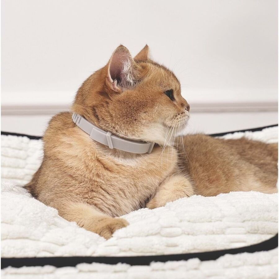 M-Pets Keep Calm Sakinleştirici Kedi Tasması Gri