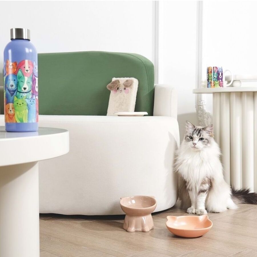 M-Pets Petjoy Mao Miao Seramik Mama Kabı 200ml - 3