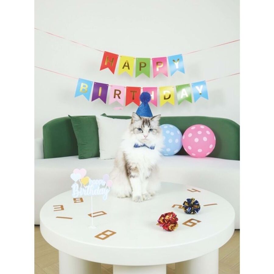 M-Pets Party Time Erkek Kediler İçin Doğum Günü Seti