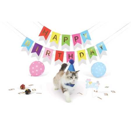 M-Pets Party Time Erkek Kediler İçin Doğum Günü Seti - Thumbnail