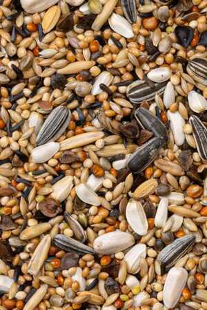 Deli Nature Premium Large Parakeets Paraket Yemi 1kg - Thumbnail (1)