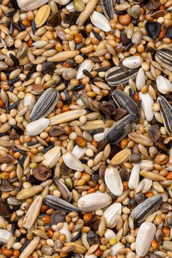 Deli Nature Premium Large Parakeets Paraket Yemi 1kg