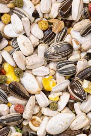 Deli Nature Premium Parrots Papağan Yemi 800gr - Thumbnail (1)