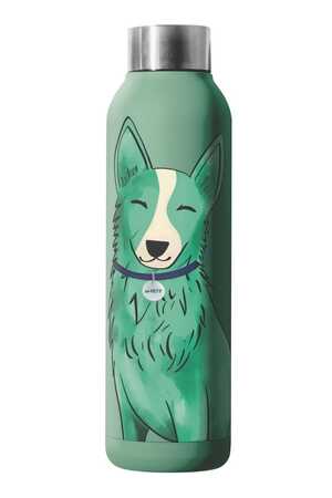 M-Pets Petjoy Purrfect Luna Termos Yeşil 500ml