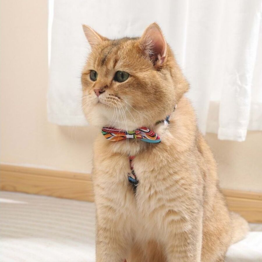 M-Pets Urbanstyle Freestyle Papyon (XS-S) - 2