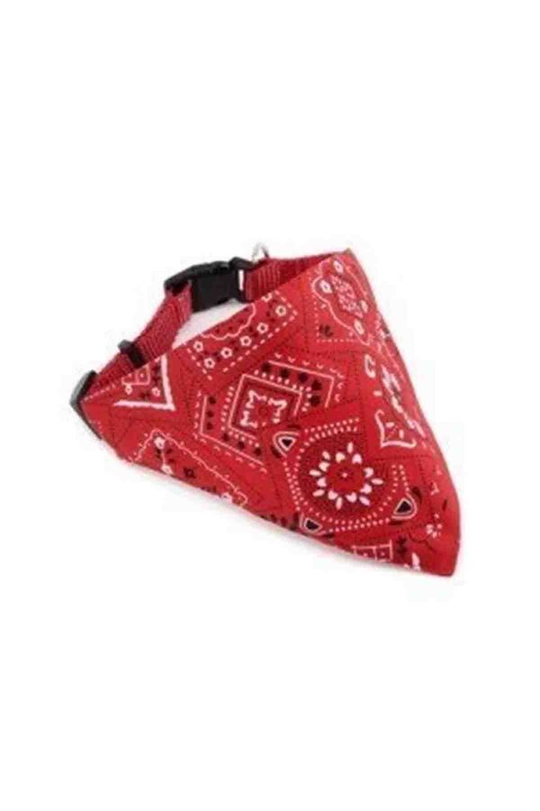 Lion Fularlı Tasma Lion Fularlı Tasma