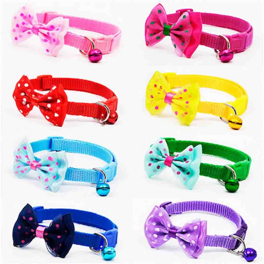 Lion Renkli Kedi Boyun Tasması  Lion Renkli Kedi Boyun Tasması