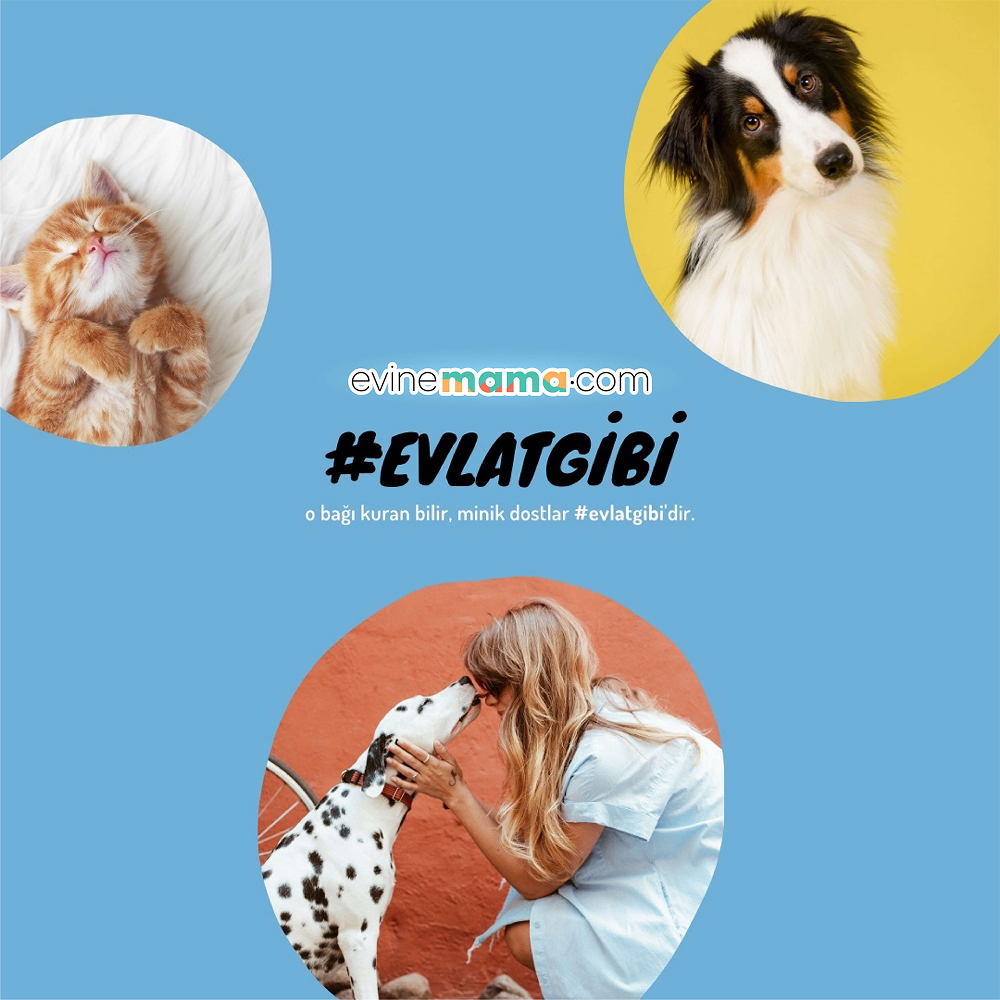 Evinemama İş Birliği