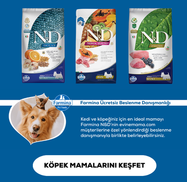 kopekmenu.png