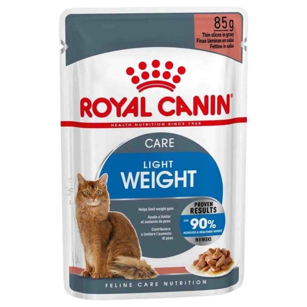Light Kedi Konservesi