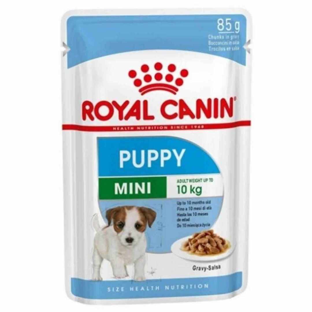 Yavru Köpek Konservesi