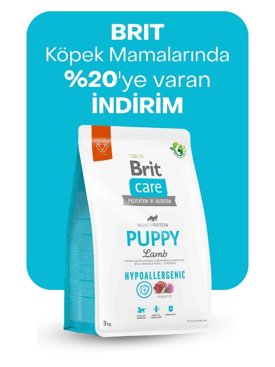 Brit köpek mamalarında %20'ye varan indirim