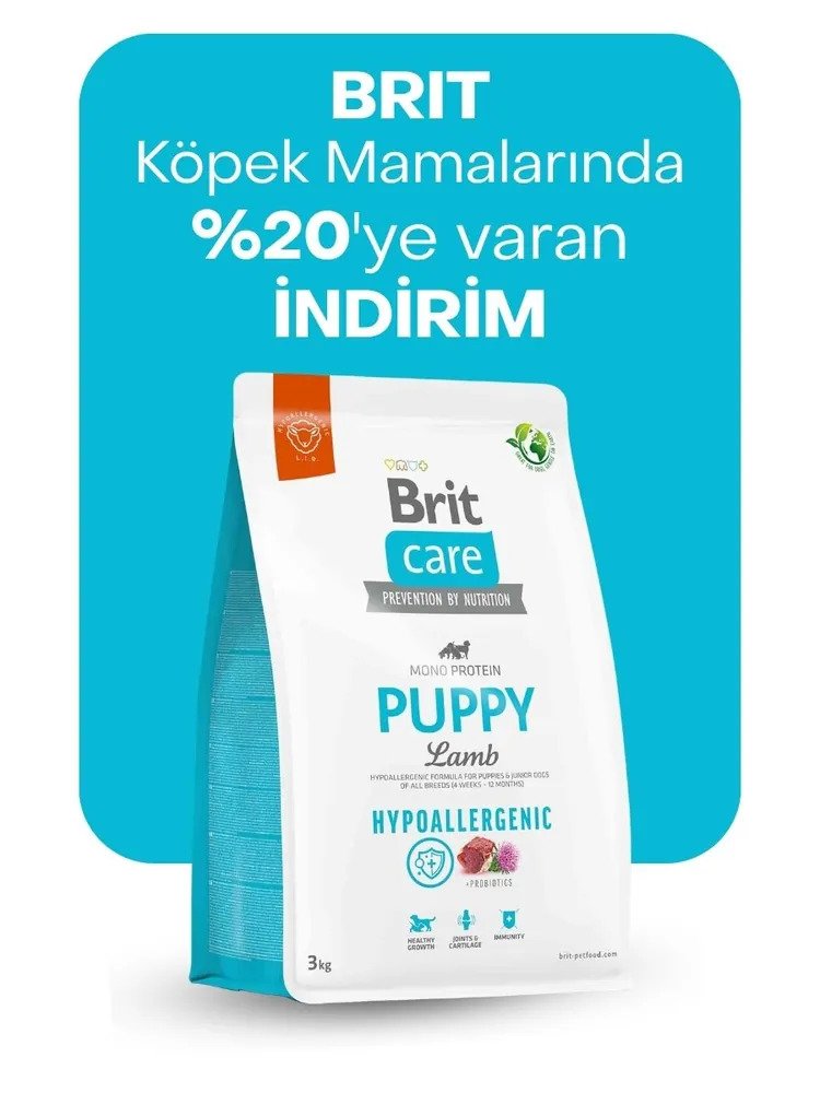 Brit köpek mamalarında %20'ye varan indirim