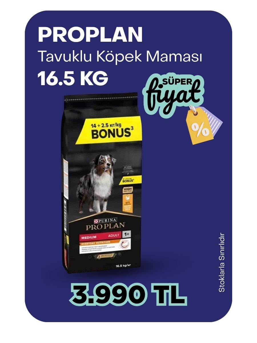 Pro Plan Tavuklu Yetişkin Köpek Maması