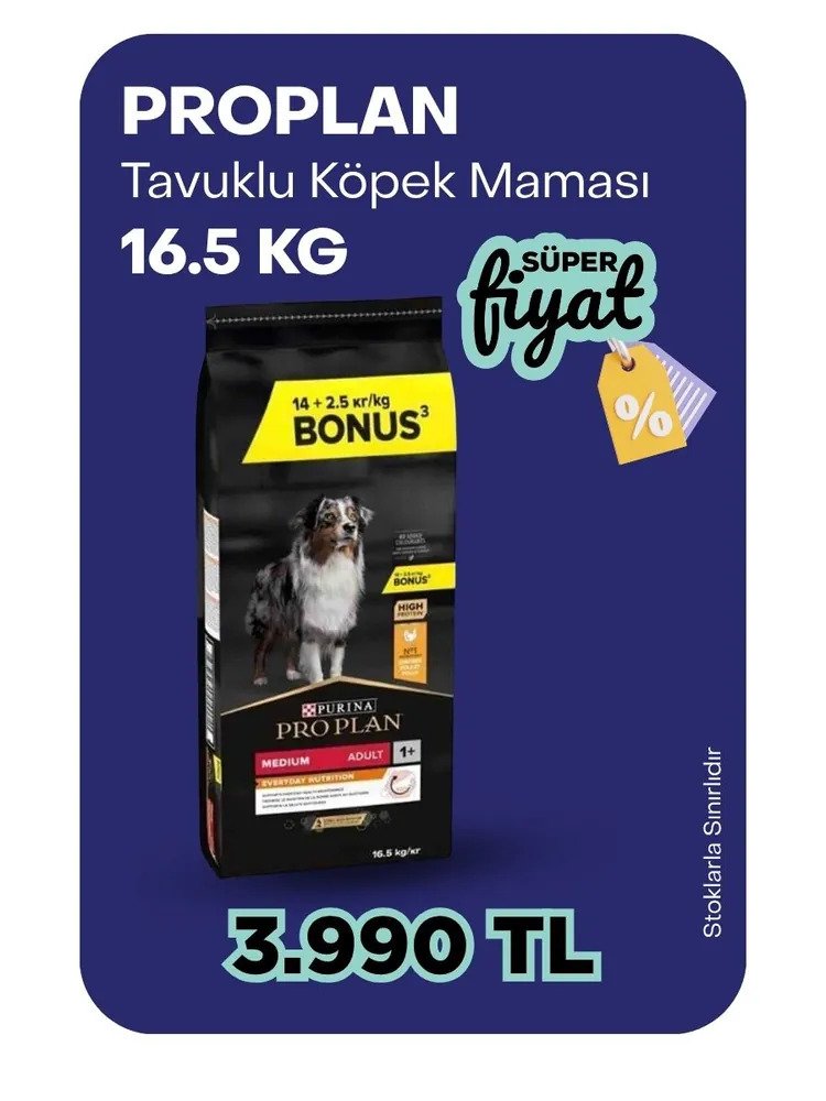 Pro Plan Tavuklu Yetişkin Köpek Maması
