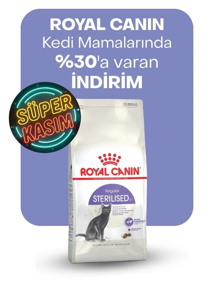Royal Canin kedi mamalarında %30'a varan indirim