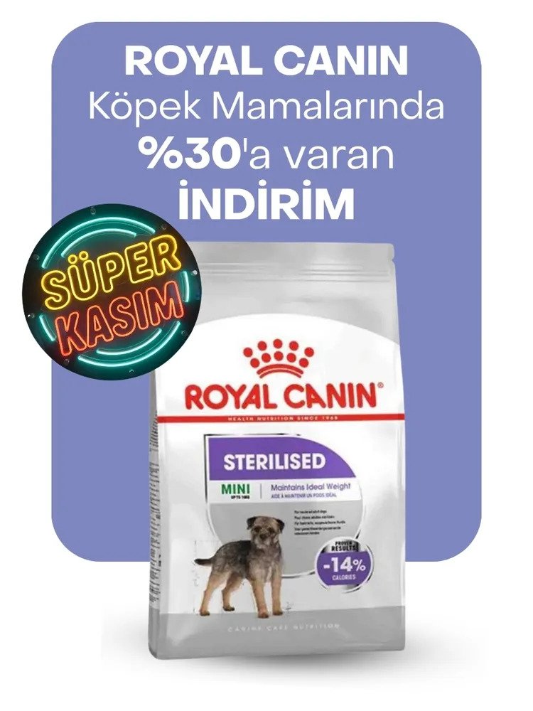 Royal Canin köpek mamalarında %30'a varan indirim