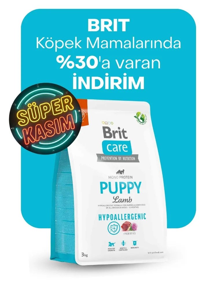 Brit köpek mamalarında %30'a varan indirim