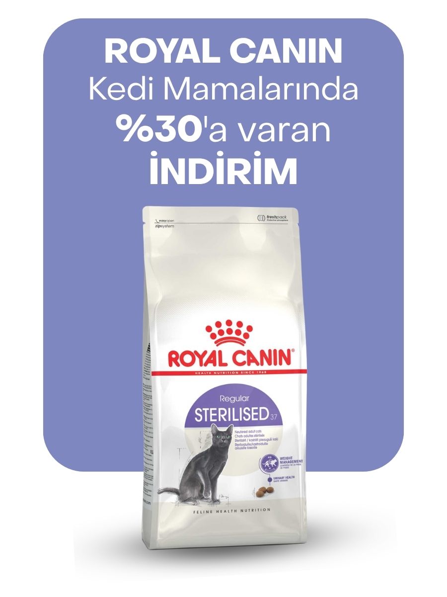 Royal Canin kedi mamalarında %30'a varan indirim